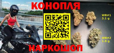 сатива Коммунар