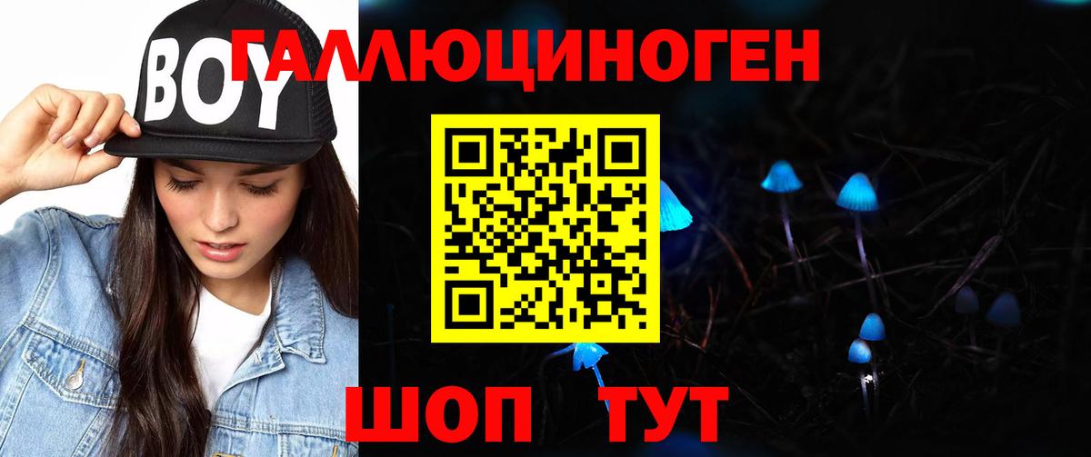 Галлюциногенные грибы GOLDEN TEACHER Дубна
